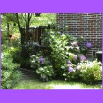 A Father's Memory.jpg